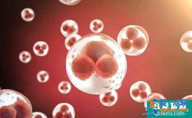 第三代試管成功率排行?受年齡因素影響嗎?? 第三代試管成功率排行?受年齡因素影響嗎??