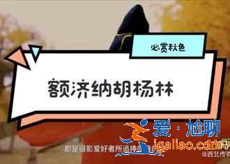 中秋三天去哪玩,2018中秋節三天去哪里玩好? 中秋三天去哪玩,2018中秋節三天去哪里玩好?
