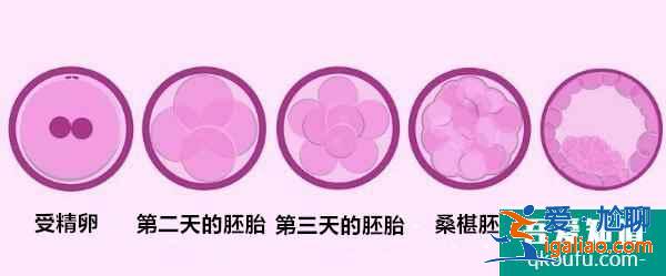 大齡女性去做試管嬰兒的注意事項有哪些？如何實現好孕？？