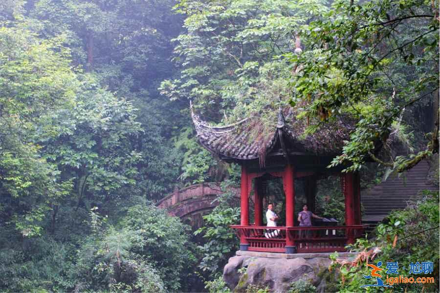 春節(jié)去峨眉山人多嗎,春節(jié)去峨眉山怎么樣? 春節(jié)去峨眉山人多嗎,春節(jié)去峨眉山怎么樣?