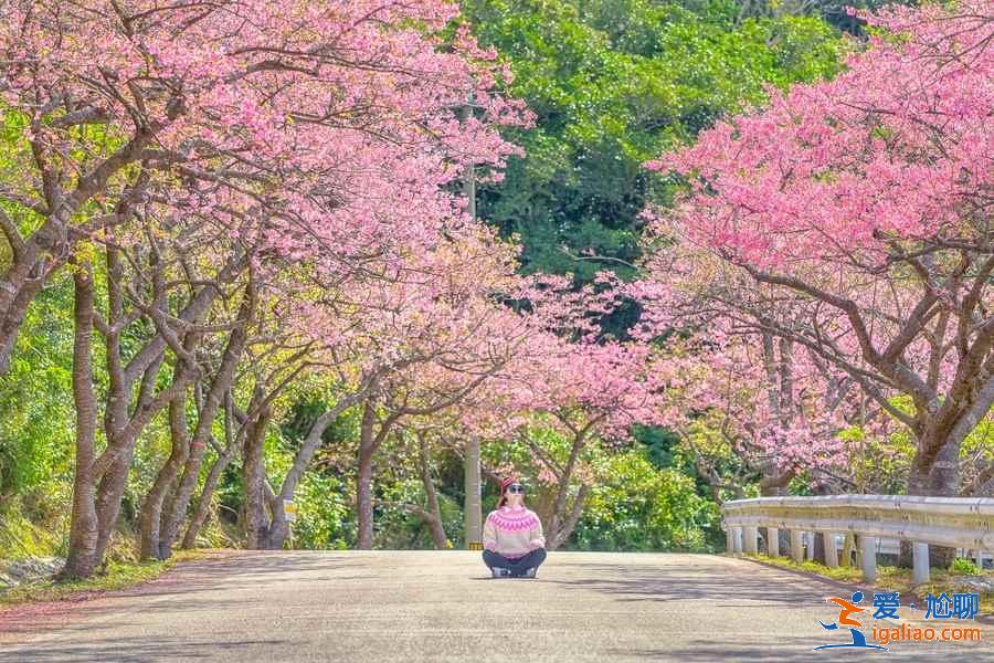 沖繩三日游怎么玩,沖繩三日游去哪里,沖繩三日游攻略? 沖繩三日游怎么玩,沖繩三日游去哪里,沖繩三日游攻略?