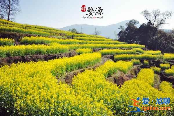 五一去江西哪里玩好，五一江西哪個城市好玩？