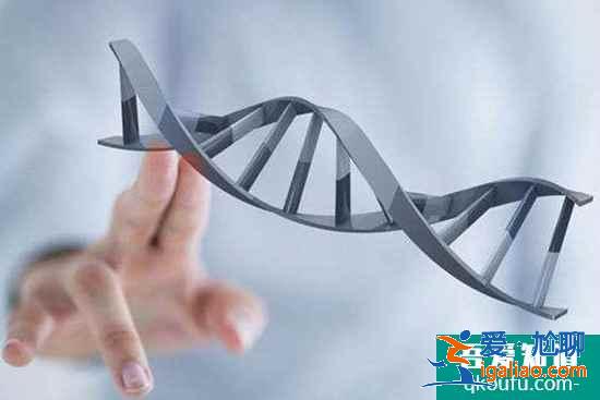 得寶寶教你如何辨別美國試管嬰兒成功率？