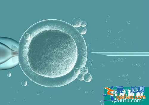 三代試管囊胚檢測要多久?? 三代試管囊胚檢測要多久??