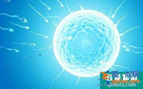 試管囊胚等級高? 試管囊胚等級高?