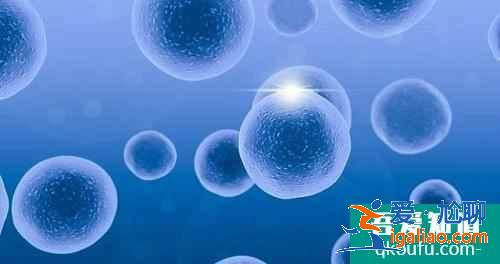 試管囊胚等級高? 試管囊胚等級高?