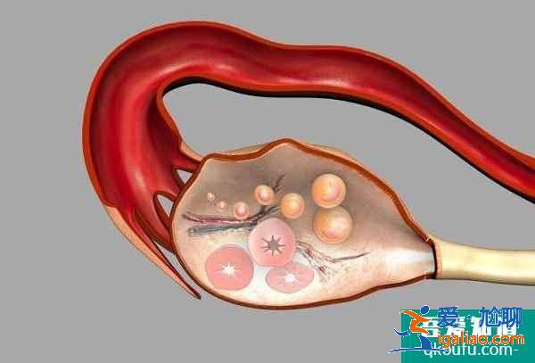 試管嬰兒促排卵與乳腺癌之間到底有沒有關(guān)系？？