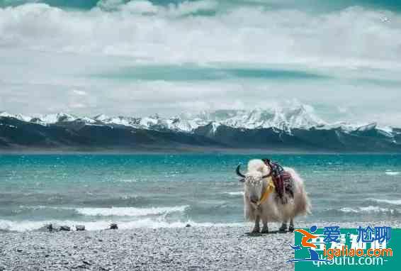 冬天旅游推薦地 冬天應該去哪些地方旅游呢？