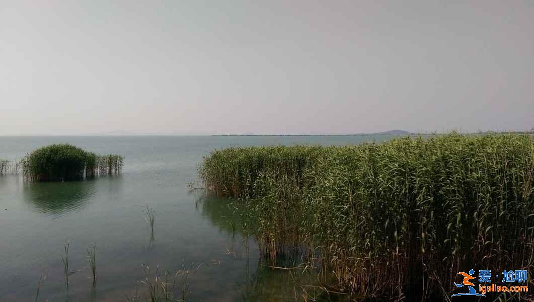 蘇州哪里適合情侶玩，蘇州情侶必去的景點(diǎn)，蘇州情侶約會(huì)好去處？