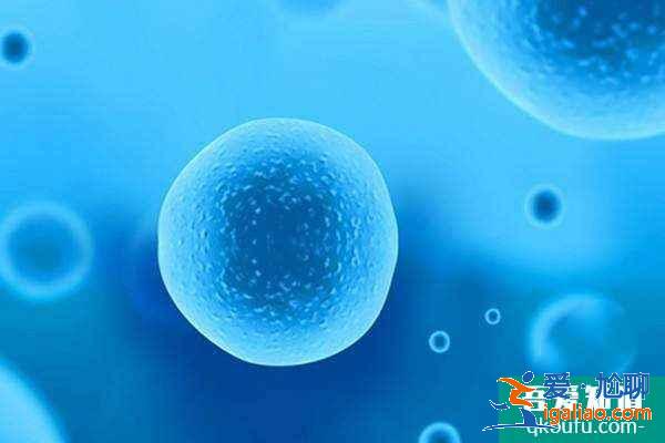 無精癥做試管嬰兒大概費(fèi)用是多少呢?趕緊看看? 無精癥做試管嬰兒大概費(fèi)用是多少呢?趕緊看看?