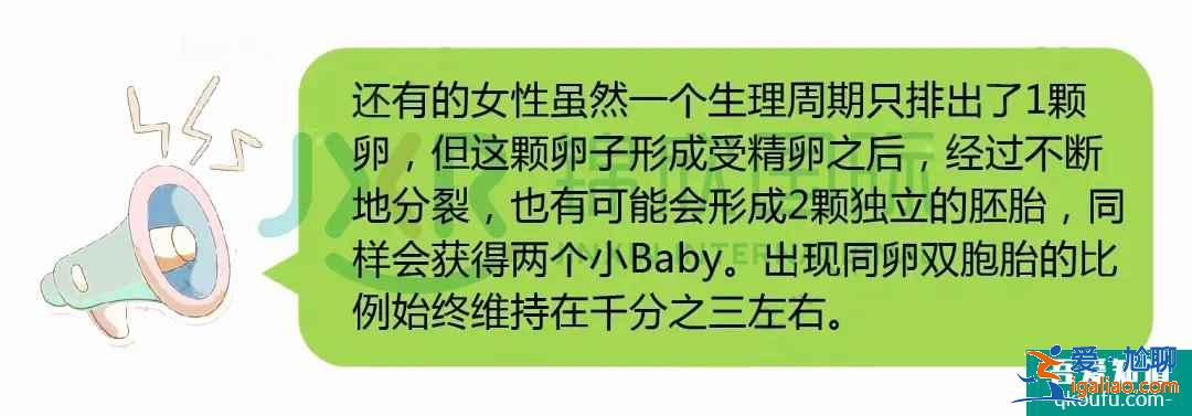 試管專家告訴你：如何懷雙胞胎，你懷雙胎的幾率高嗎？？