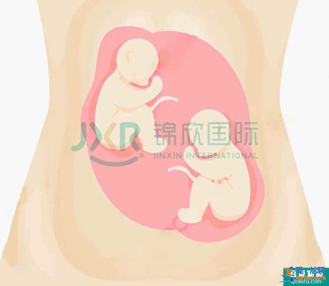試管專家告訴你：如何懷雙胞胎，你懷雙胎的幾率高嗎？？