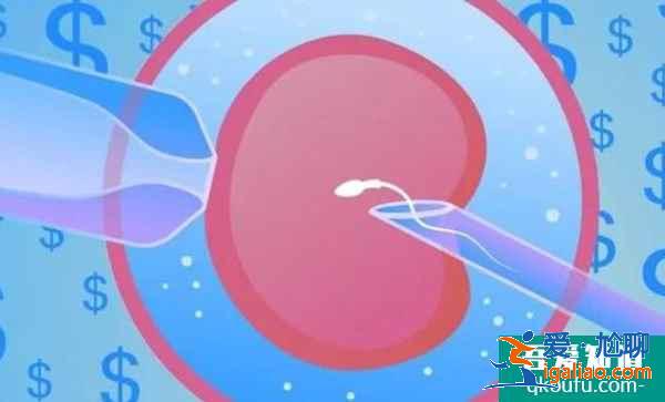 精子畸形去做試管，可以順利完成IVF周期嗎？？