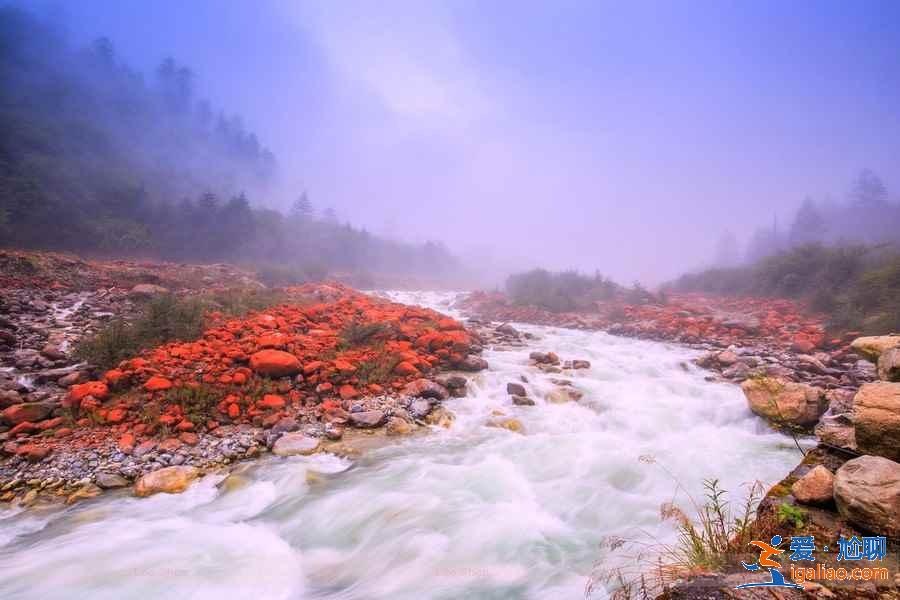 川西值得去的地方有哪些,五月川西環(huán)線游路過哪些景點? 川西值得去的地方有哪些,五月川西環(huán)線游路過哪些景點?