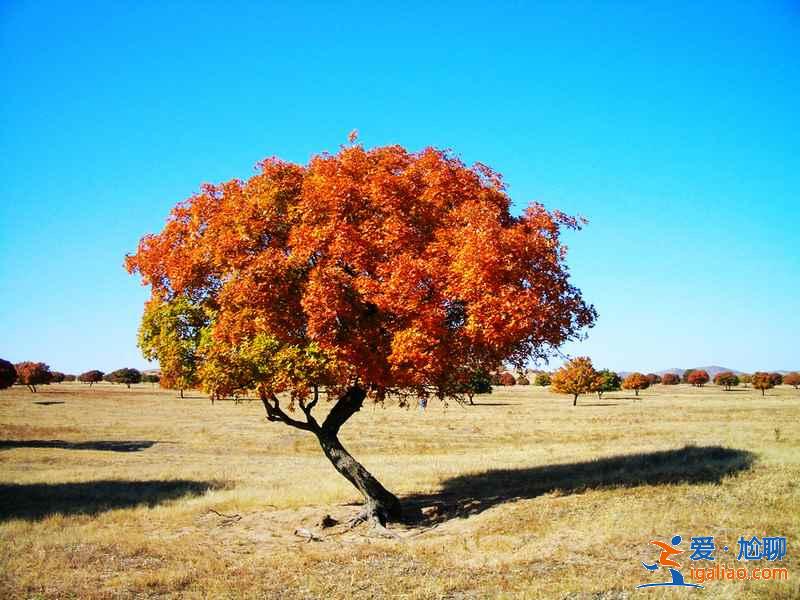 【中秋節去哪里玩】2018中秋節去哪里玩,中秋節去哪里玩推薦? 【中秋節去哪里玩】2018中秋節去哪里玩,中秋節去哪里玩推薦?