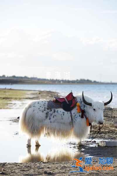 【中秋節去哪里玩】2018中秋節去哪里玩,中秋節去哪里玩推薦? 【中秋節去哪里玩】2018中秋節去哪里玩,中秋節去哪里玩推薦?