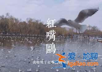 【2018年前去哪玩】年前去哪里旅游，年底去哪里旅游比較好？