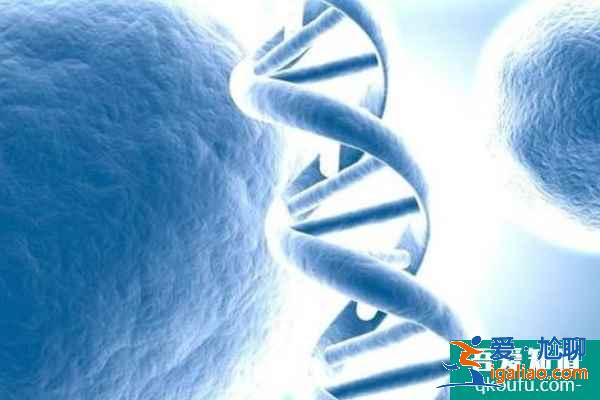 男性精子碎片率高，去泰國做試管如何解決生育問題？？