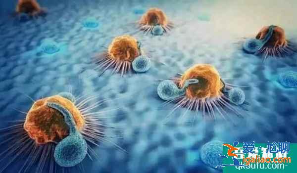 男性精子碎片率高，去泰國做試管如何解決生育問題？？