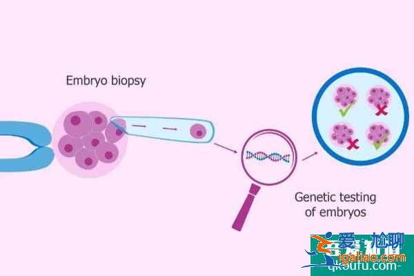 做泰國試管嬰兒，寶寶會有發育緩慢的情況嗎？？