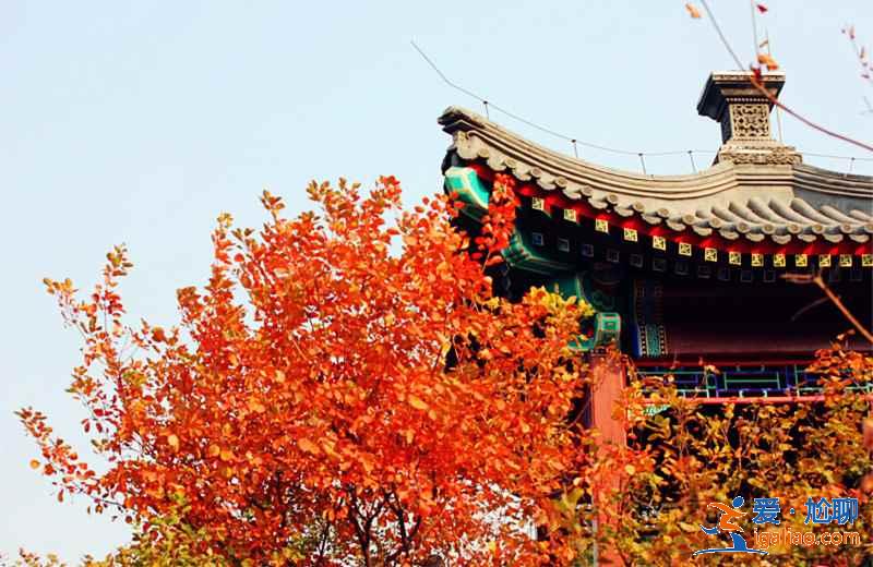 【國慶北京香山紅葉能看嗎】北京國慶節去哪里看紅葉，國慶節北京看紅葉的地方？