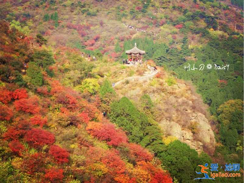 【國慶北京香山紅葉能看嗎】北京國慶節去哪里看紅葉，國慶節北京看紅葉的地方？