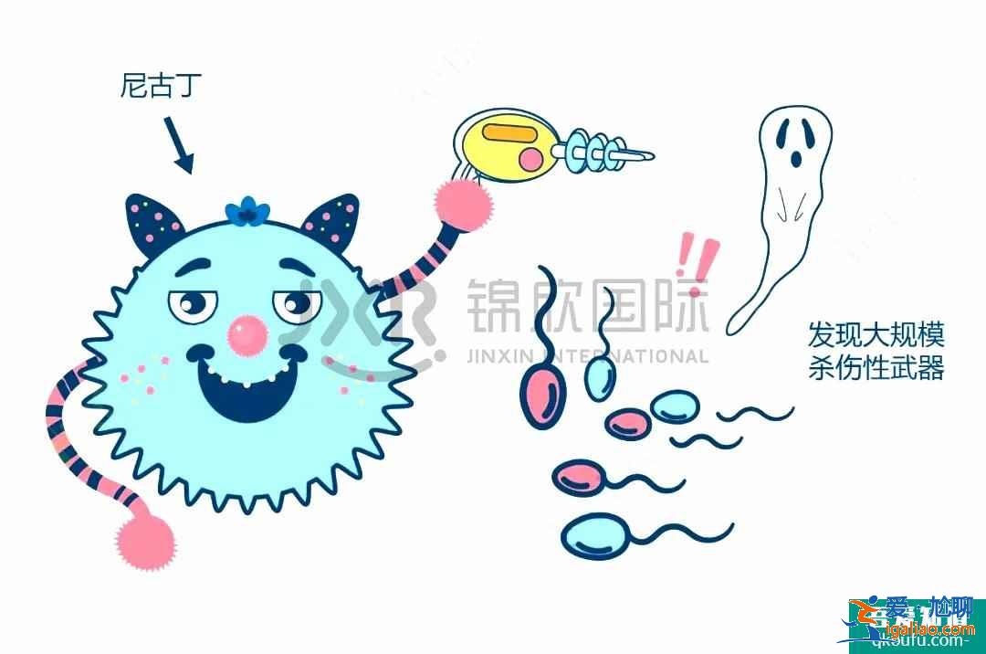 試管嬰兒專家告訴您：五一小長假如何調理子宮內環境?？