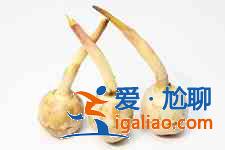 茨菰燒肉的做法大全？