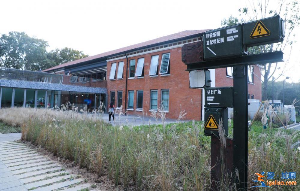 文物可以使用但應合規合理？