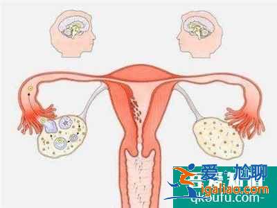 高齡女性做試管也很難能成功嗎？醫生分析：年齡是最大的障礙？