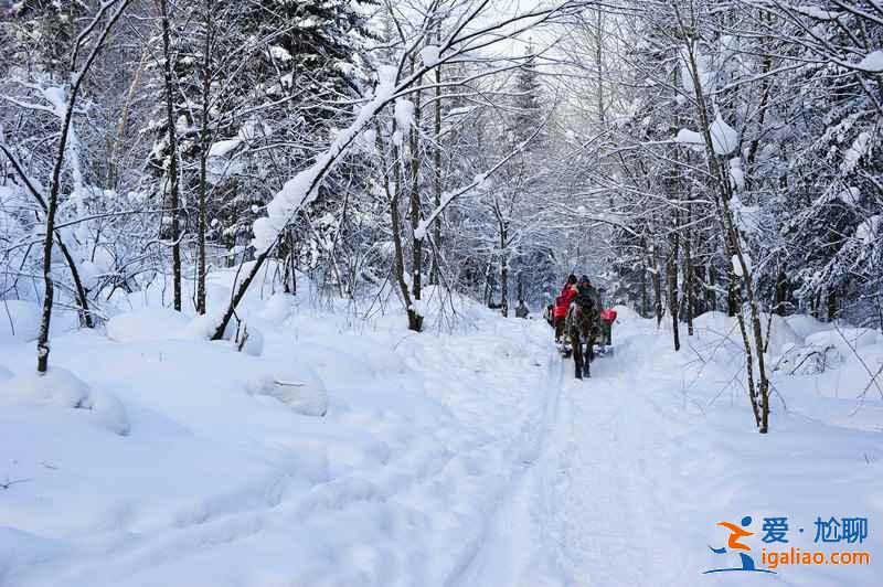 國內1月下雪的地方，國內一月有雪的地方？