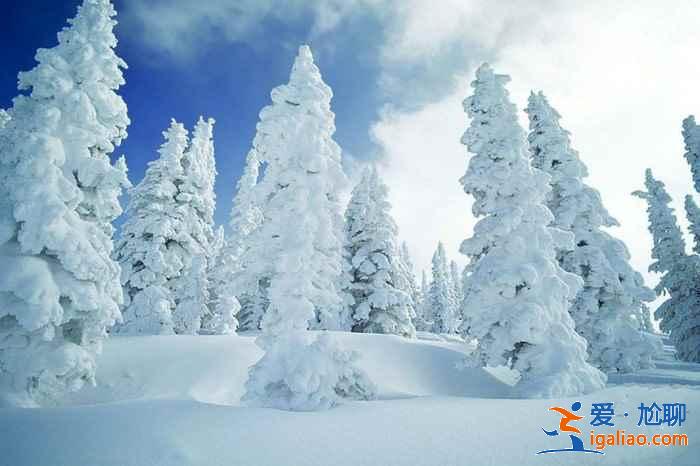 國內1月下雪的地方，國內一月有雪的地方？