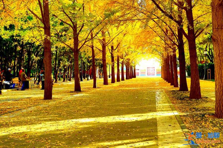 10月11月適合去哪里旅游，深秋去哪旅游最好？