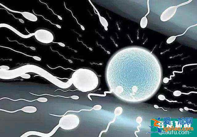 第二代試管嬰兒全過程要多久？費用多少？？