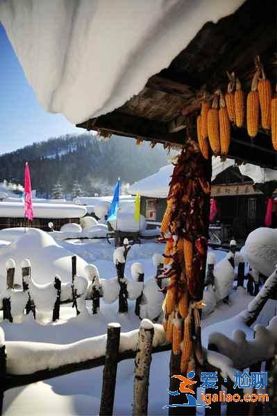 【雪鄉天氣1、2月天氣預報】雪鄉天氣冬季多少度，雪鄉天氣預報？