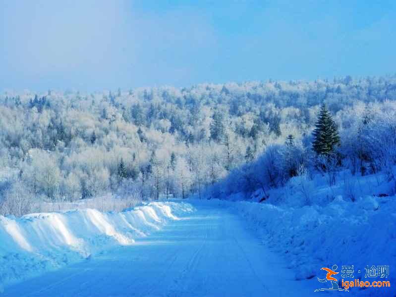【雪鄉天氣1、2月天氣預報】雪鄉天氣冬季多少度，雪鄉天氣預報？