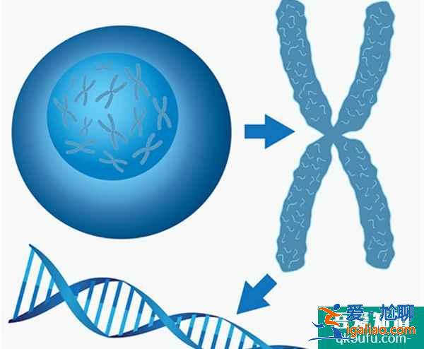 支原體感染對生育的影響，以及做泰國試管嬰兒的可行性分析？
