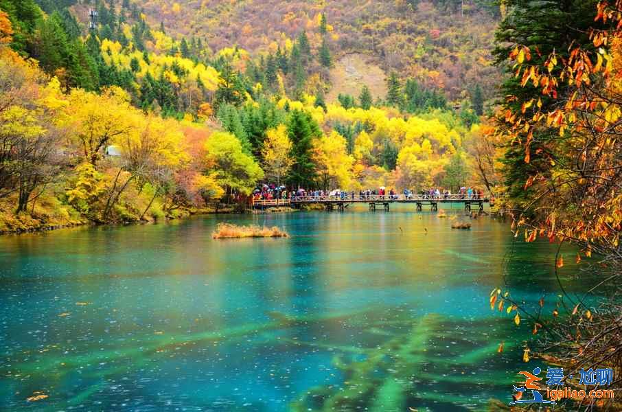 10月11月適合去哪里旅游，深秋去哪旅游最好？