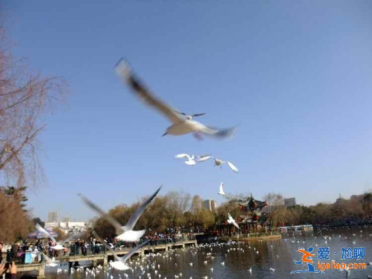 2018昆明十一天氣預報，2018昆明十一天氣怎么樣，十一昆明天氣如何？