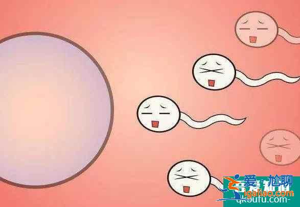 做試管嬰兒前我們需要注意什么？試管過程哪些是不能做的？？
