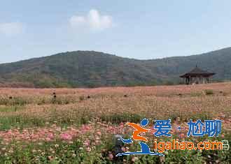 【無錫十一天氣】2018無錫十一國慶天氣,無錫10.1溫度? 【無錫十一天氣】2018無錫十一國慶天氣,無錫10.1溫度?