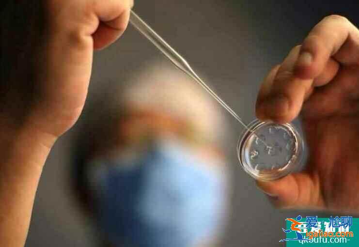 這些都會影響試管嬰兒成功率!快來看看如何避免走入誤區(qū)? 這些都會影響試管嬰兒成功率!快來看看如何避免走入誤區(qū)?