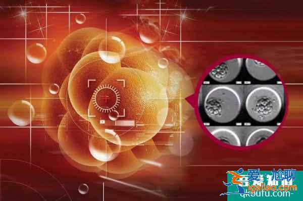 卵巢儲備不足，赴美做試管嬰兒能成功嗎？？