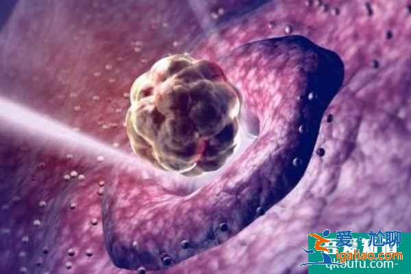 卵巢儲備不足，赴美做試管嬰兒能成功嗎？？