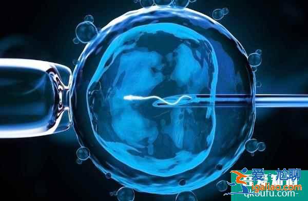 卵巢儲備不足，赴美做試管嬰兒能成功嗎？？