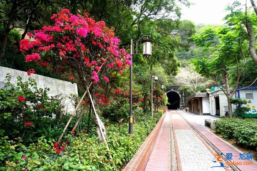 廈門適合情侶去的地方，廈門哪些景點適合情侶，廈門哪里適合情侶玩？