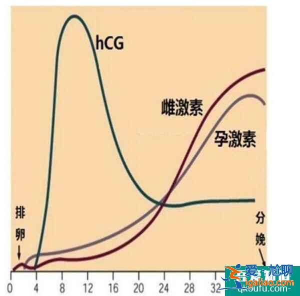 試管嬰兒囊胚移植后，HCG如何翻倍可以排除宮外孕？？