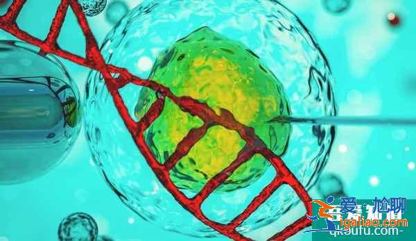 試管嬰兒技術如何助男性染色體客人生健康寶寶？？