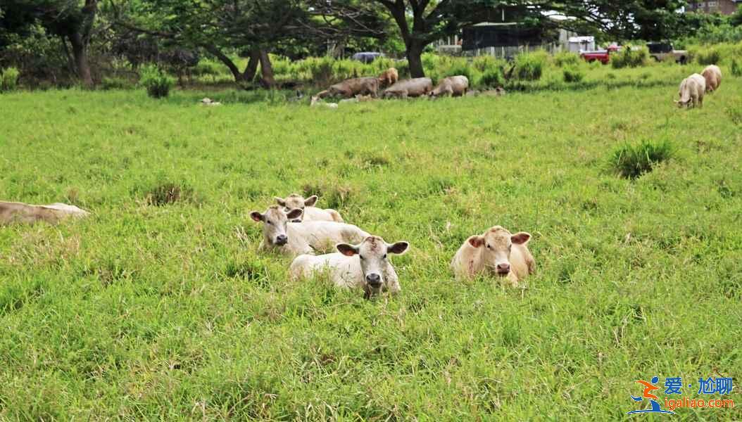 國慶節去哪旅游人少,2018國慶節旅游哪里人少,國慶節去哪里玩人少? 國慶節去哪旅游人少,2018國慶節旅游哪里人少,國慶節去哪里玩人少?