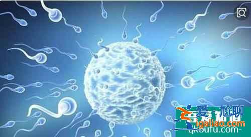 高齡產(chǎn)婦備孕后懷上雙胞胎要特別注意哪些呢?? 高齡產(chǎn)婦備孕后懷上雙胞胎要特別注意哪些呢??